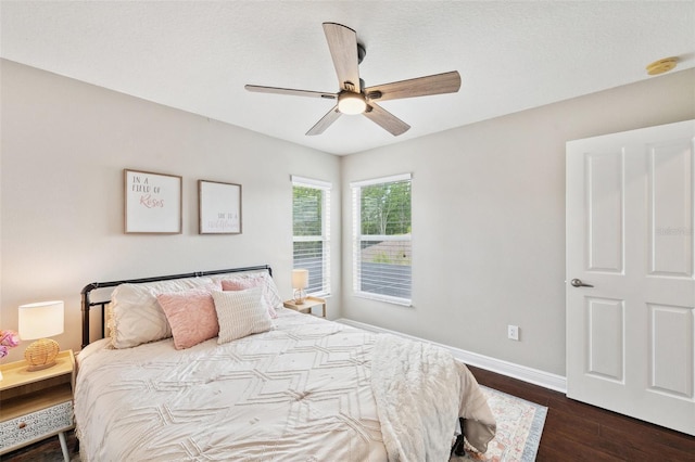 31646 Baymont Loop, Wesley Chapel, FL 33543 - bedroom featuring dark wood-type flooring and a ceiling fan