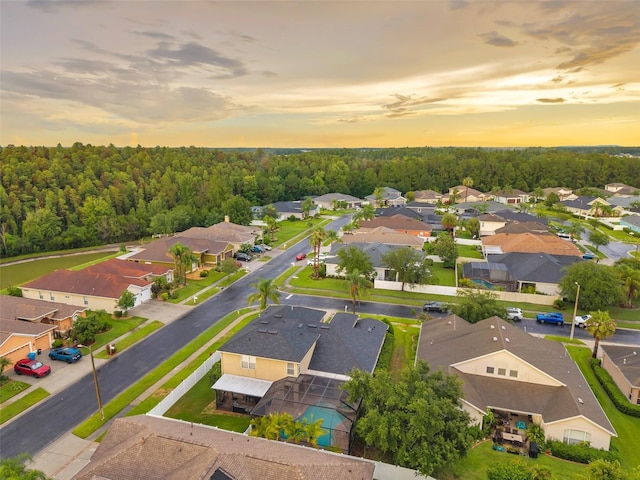 31646 Baymont Loop, Wesley Chapel, FL 33543 - aerial view of residential area