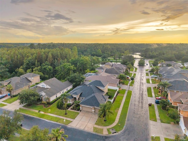 31646 Baymont Loop, Wesley Chapel, FL 33543 - aerial perspective of suburban area with a heavily wooded area