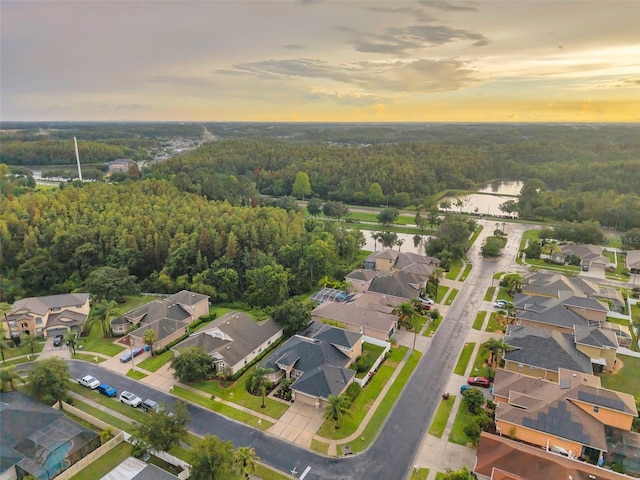 31646 Baymont Loop, Wesley Chapel, FL 33543 - aerial view at dusk of a view of trees, a residential view, and a water view