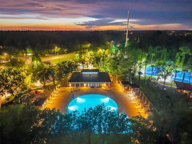 31646 Baymont Loop, Wesley Chapel, FL 33543 - outdoor pool featuring a patio area