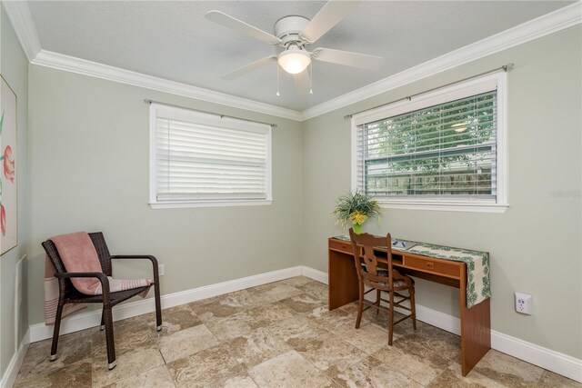 2005 Jefferson Ave, Dunedin, FL 34698 - photo 15
