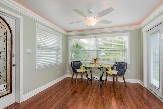 2005 Jefferson Ave, Dunedin, FL 34698 - photo 17