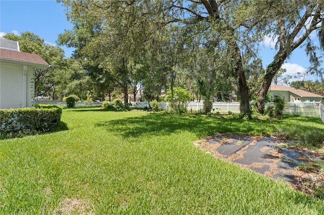 18561 Winding Oaks Blvd, Hudson, FL 34667 - view of yard