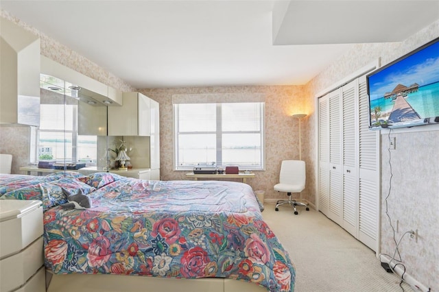 5200 Brittany Dr S Unit 1501, Saint Petersburg, FL 33715 - bedroom featuring light colored carpet and a closet