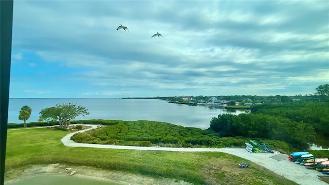 244 Mariner Dr, Tarpon Springs, FL 34689 - photo 32