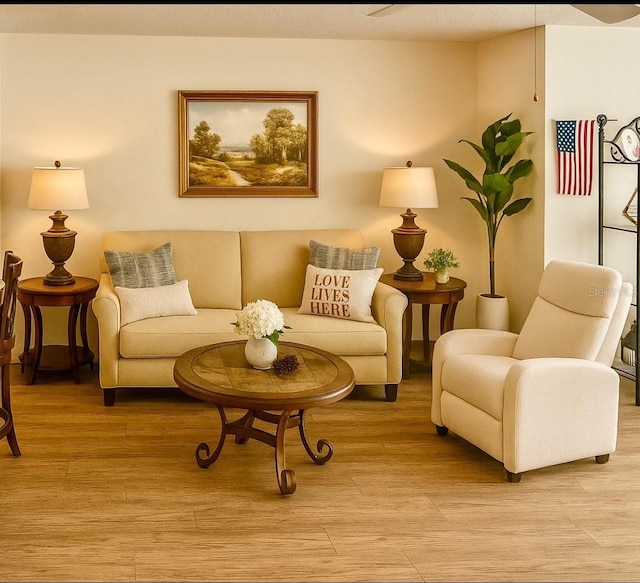 5623 80th St N Unit 406, Saint Petersburg, FL 33709 - living area featuring light wood finished floors