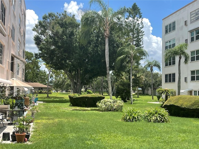 5623 80th St N Unit 406, Saint Petersburg, FL 33709 - photo 43