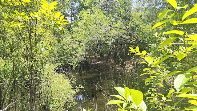 0 Cyril Dr, Dade City, FL 33523 - photo 3