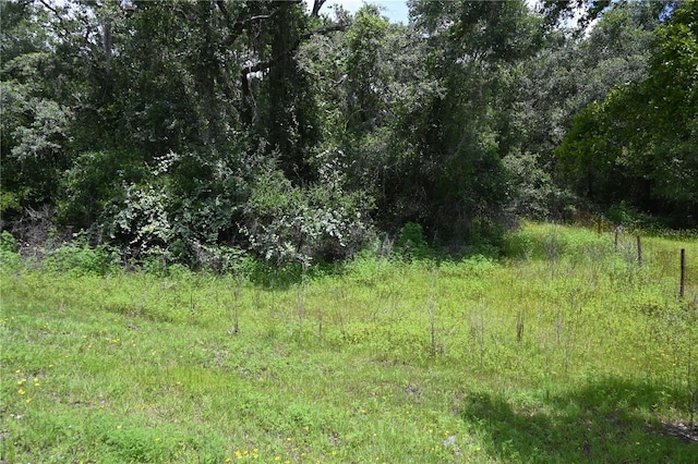 0 Cyril Dr, Dade City, FL 33523 - photo 5