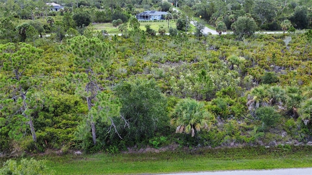 287 Redington Ave, Port Charlotte, FL 33953 - photo 3
