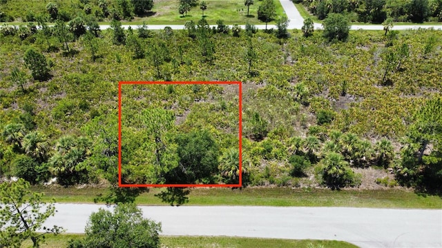 287 Redington Ave, Port Charlotte, FL 33953 - photo 5