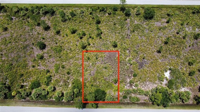 287 Redington Ave, Port Charlotte, FL 33953 - photo 6