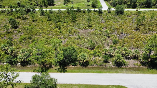287 Redington Ave, Port Charlotte, FL 33953 - photo 7