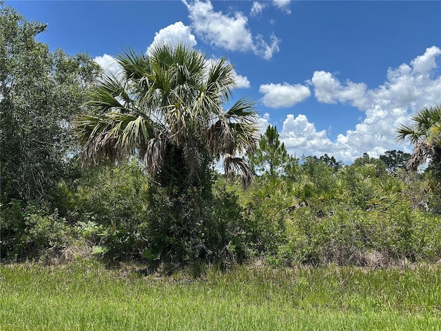 287 Redington Ave, Port Charlotte, FL 33953 - photo 10