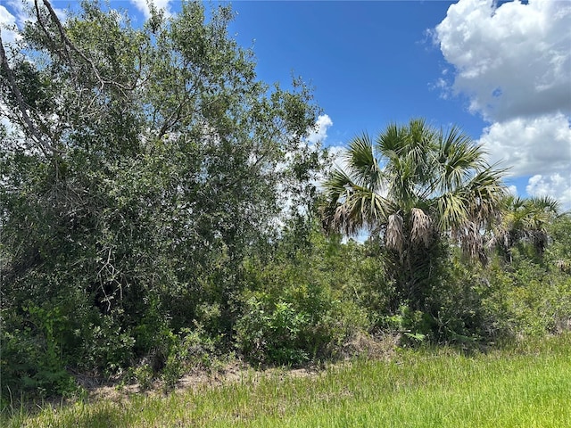 287 Redington Ave, Port Charlotte, FL 33953 - photo 11