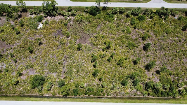 287 Redington Ave, Port Charlotte, FL 33953 - photo 13