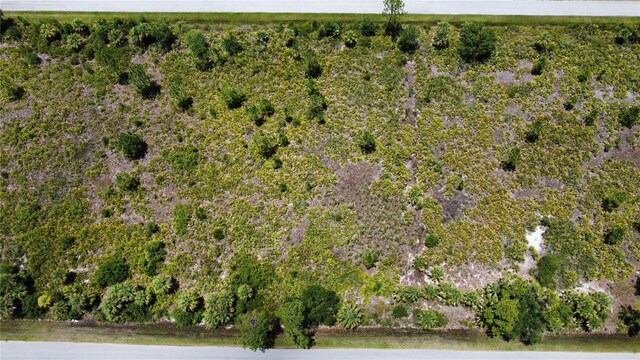 287 Redington Ave, Port Charlotte, FL 33953 - photo 14