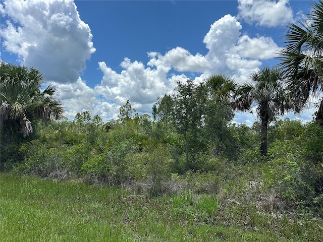 287 Redington Ave, Port Charlotte, FL 33953 - photo 16