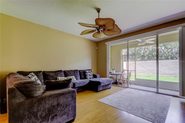 6407 Spring Oak Ct, Tampa, FL 33625 - photo 15