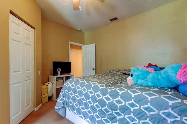 6407 Spring Oak Ct, Tampa, FL 33625 - photo 20