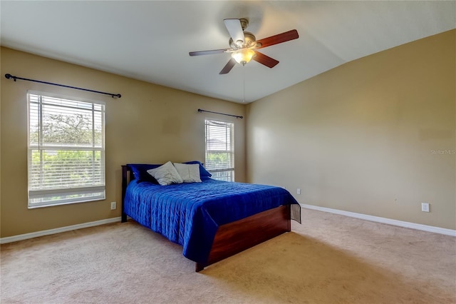 6407 Spring Oak Ct, Tampa, FL 33625 - photo 24