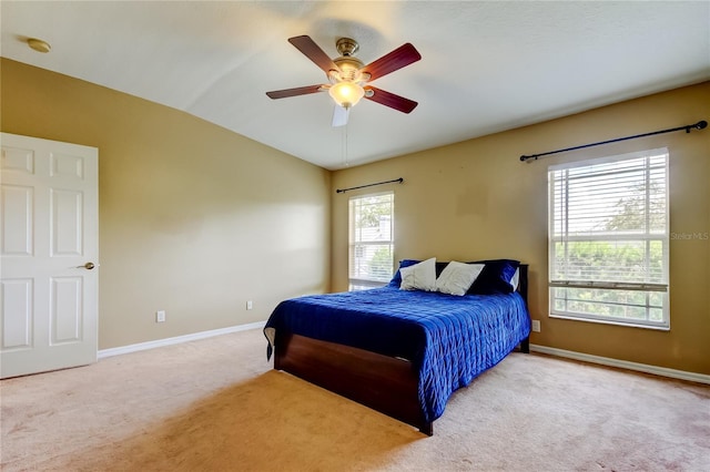 6407 Spring Oak Ct, Tampa, FL 33625 - photo 26
