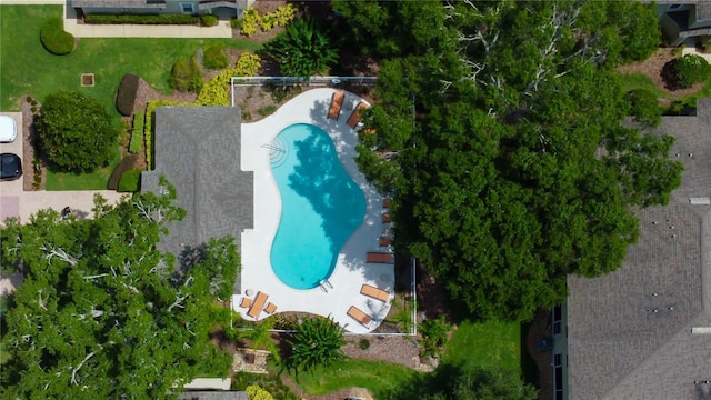 6407 Spring Oak Ct, Tampa, FL 33625 - photo 34