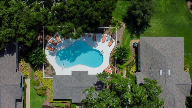 6407 Spring Oak Ct, Tampa, FL 33625 - photo 35