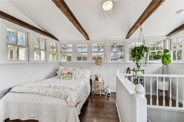 711 S Bungalow Ter, Tampa, FL 33606 - bedroom with wood finished floors and multiple windows
