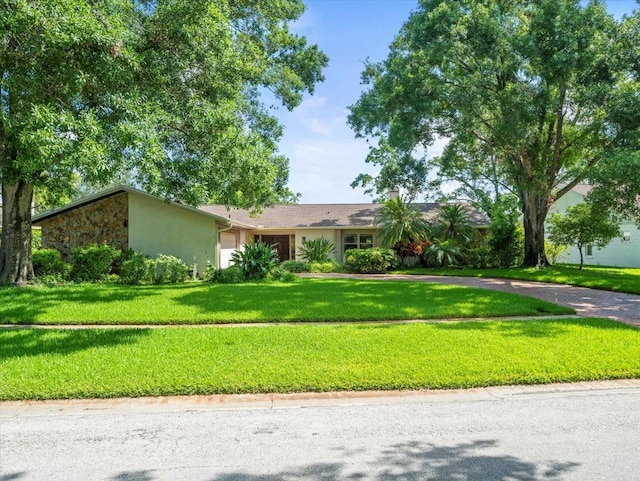 4209 Winding Willow Dr, Tampa, FL 33618 - view of front of home featuring a garage, a front yard, stone siding, and stucco siding