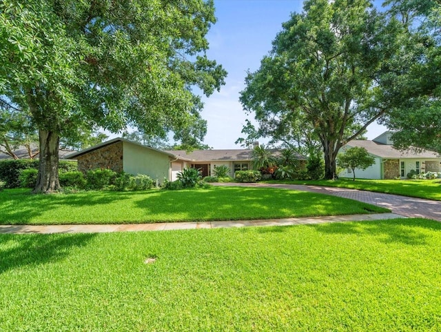 4209 Winding Willow Dr, Tampa, FL 33618 - view of front facade with a front lawn and stone siding
