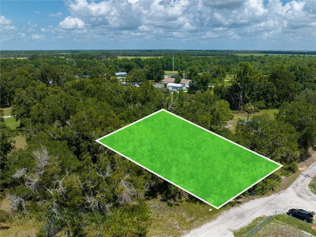 Tangerine St, Bowling Green, FL 33834