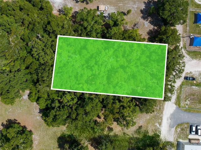 Tangerine St, Bowling Green, FL 33834