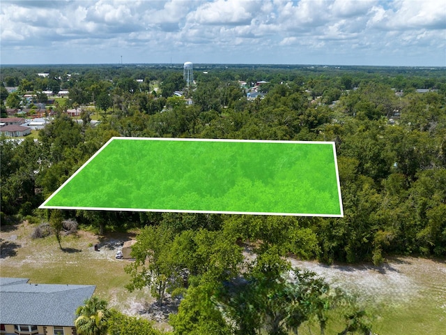 Tangerine St, Bowling Green, FL 33834