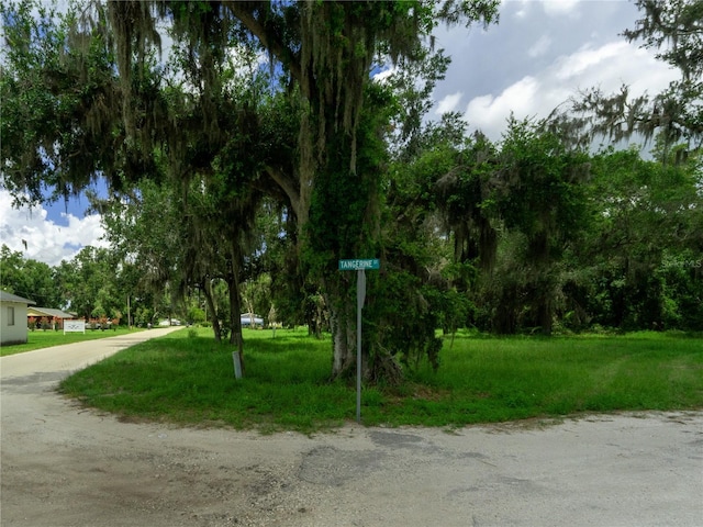 Tangerine St, Bowling Green, FL 33834