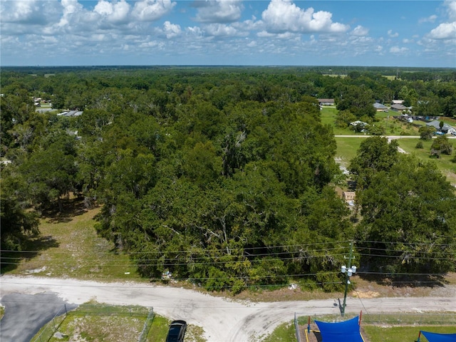 Tangerine St, Bowling Green, FL 33834