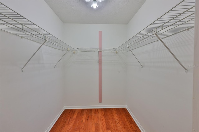 608 Fort Duquesna Dr, Sun City Center, FL 33573 - photo 18