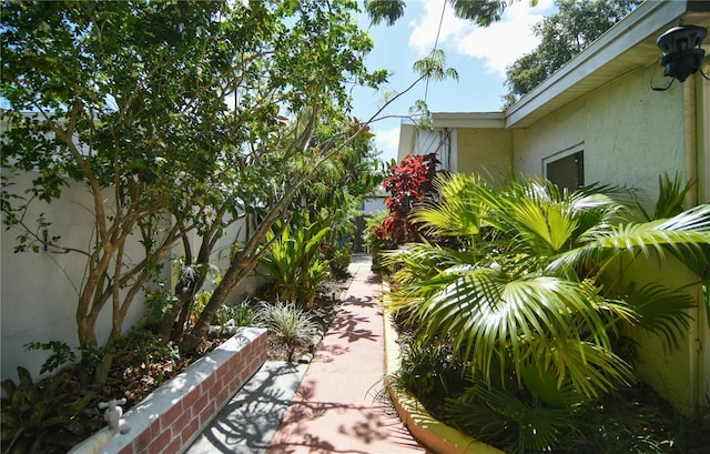 7699 92nd St, Seminole, FL 33777 - photo 32