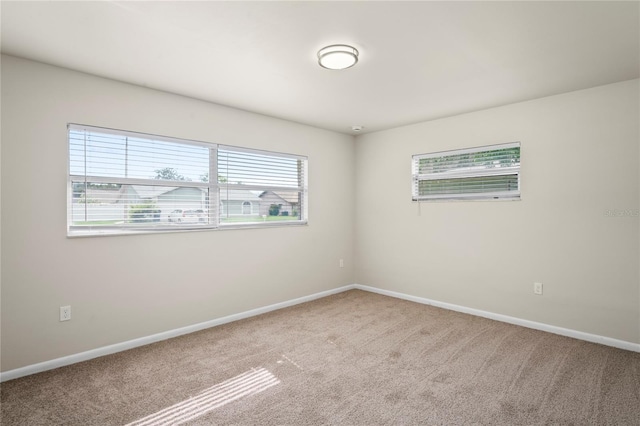4414 Royal Oak Ln, New Port Richey, FL 34653 - photo 17