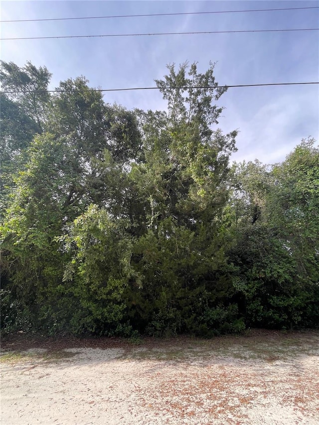 6263 W Moven Ct, Homosassa, FL 34446 - photo 2