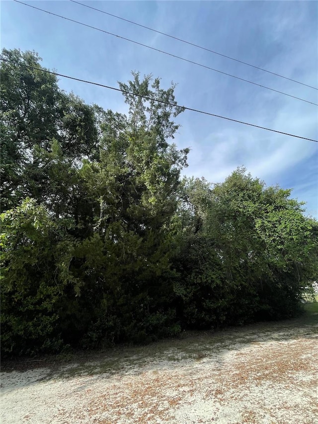 6263 W Moven Ct, Homosassa, FL 34446 - photo 3