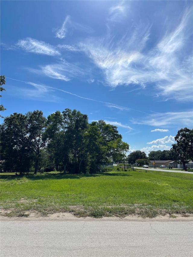 1524 Lewis Griffin Rd, Lake Wales, FL 33898 - photo 2
