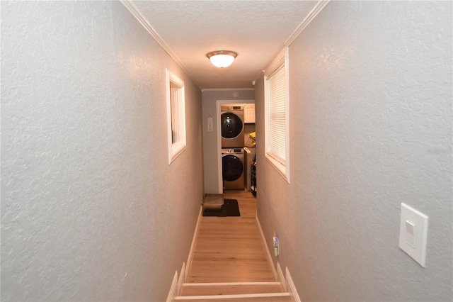 5628 2nd Ave N, Saint Petersburg, FL 33710 - photo 23