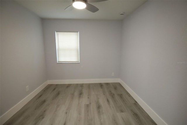 8405 N Willow Ave, Tampa, FL 33604 - photo 18