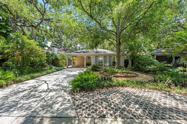 3312 W Carrington St, Tampa, FL 33611 - photo 1