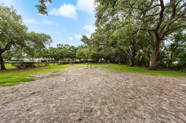 3312 W Carrington St, Tampa, FL 33611 - photo 53