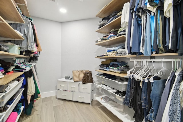 15722 Gardenside Ln, Tampa, FL 33624 - spacious closet with light wood-style floors