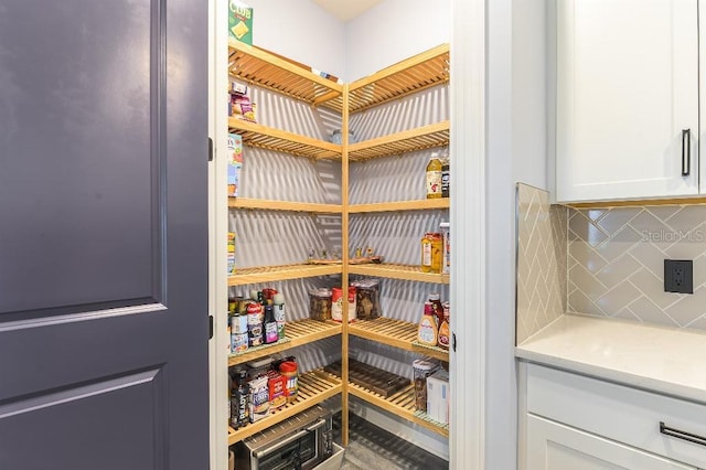7683 Summerland Cv, Lakewood Ranch, FL 34202 - view of pantry