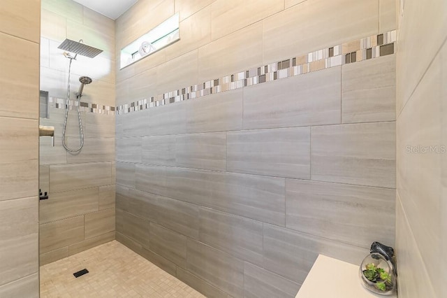 7683 Summerland Cv, Lakewood Ranch, FL 34202 - full bath with tiled shower